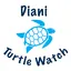 Diani Turtle Watch
