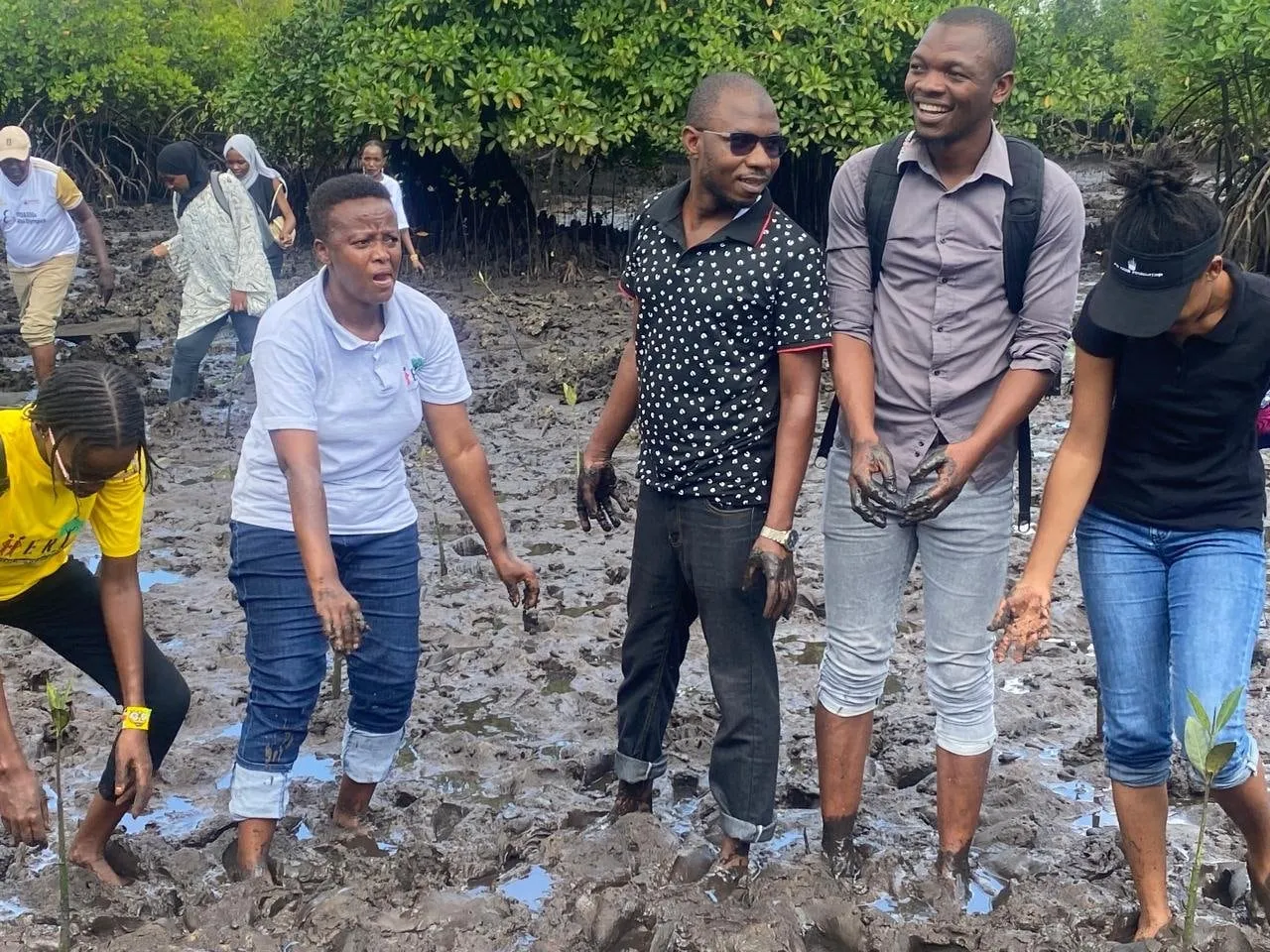 HERI-Kenya team members and volunteers plant mangrove seedlings in the coastal mud